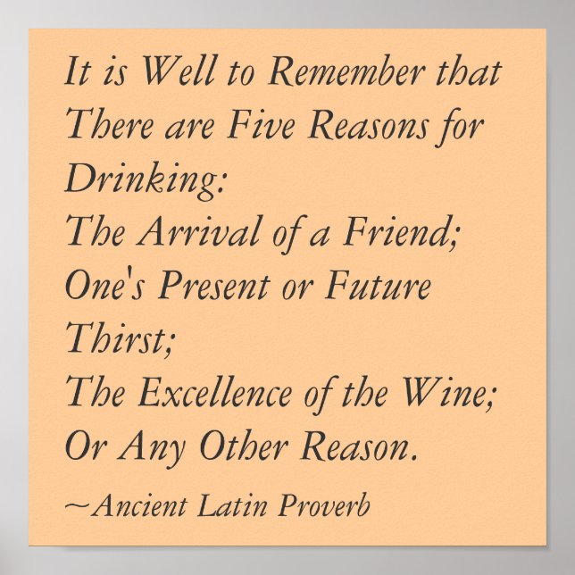 5 Reasons for Drinking Poster (Front)