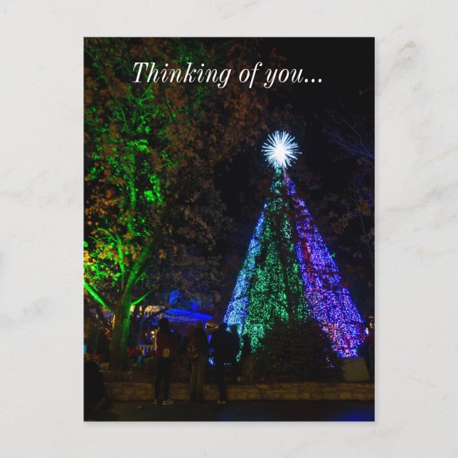 5 Story Sdc Tree Night Postcard (Front)