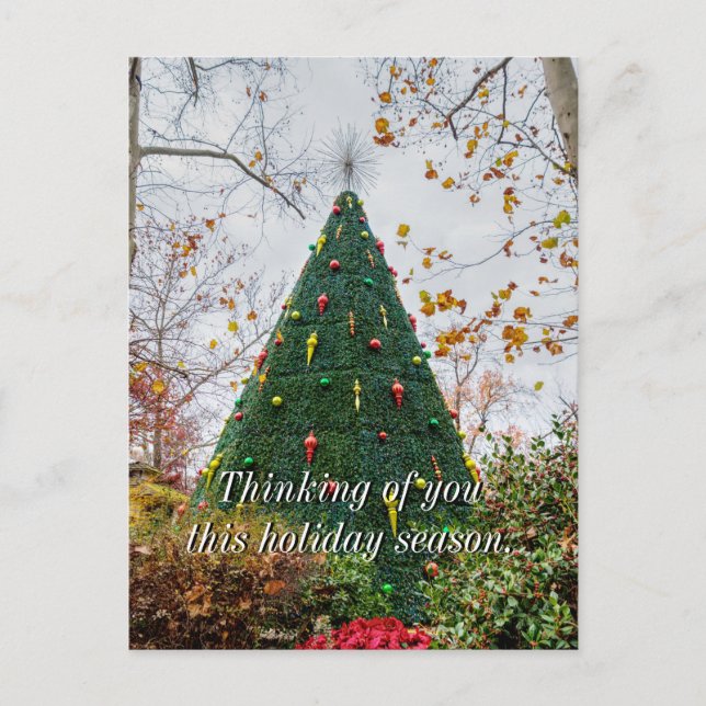 5 Story SDC Tree Thinking Of You Postard Postcard (Front)