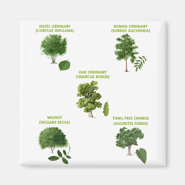 5 Trees Magnet (Front)