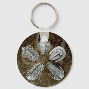 5 Trilobites Keychain