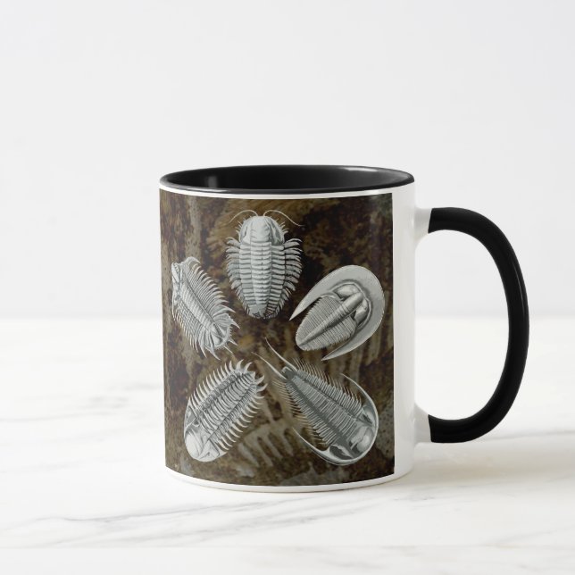 5 Trilobites Mug (Right)