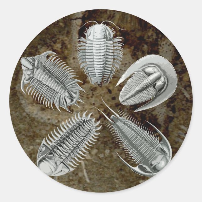 5 Trilobites Sticker (Front)