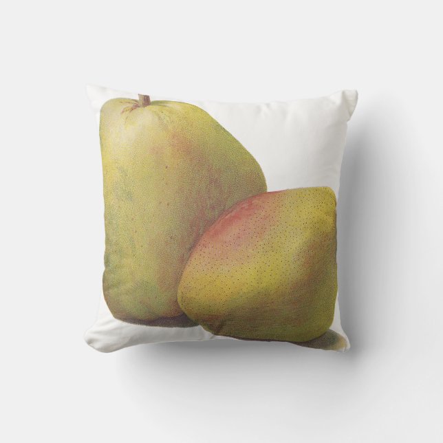 5 vintage pears illustrated cushion (Front)