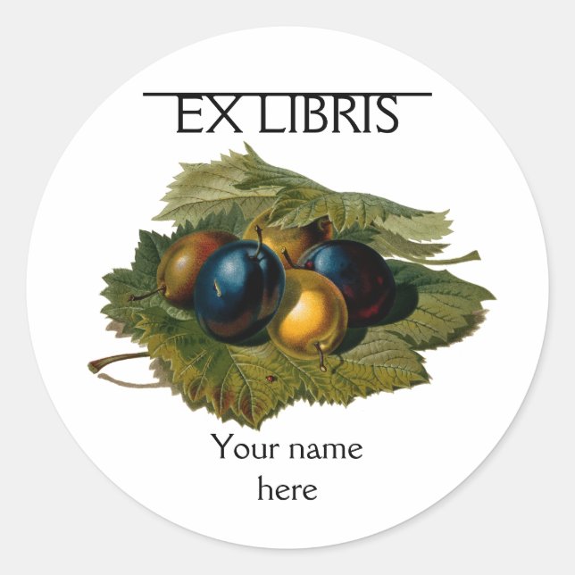 5 vintage plums painting bookplate classic round sticker (Front)