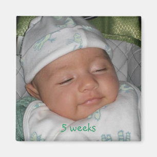 5 weeks, 5 weeks magnet