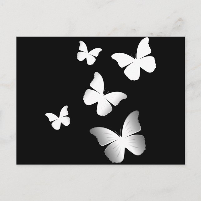 5 White Butterflies Postcard (Front)