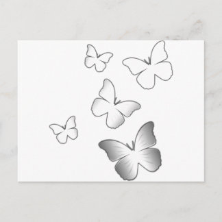 5 White Butterflies Postcard