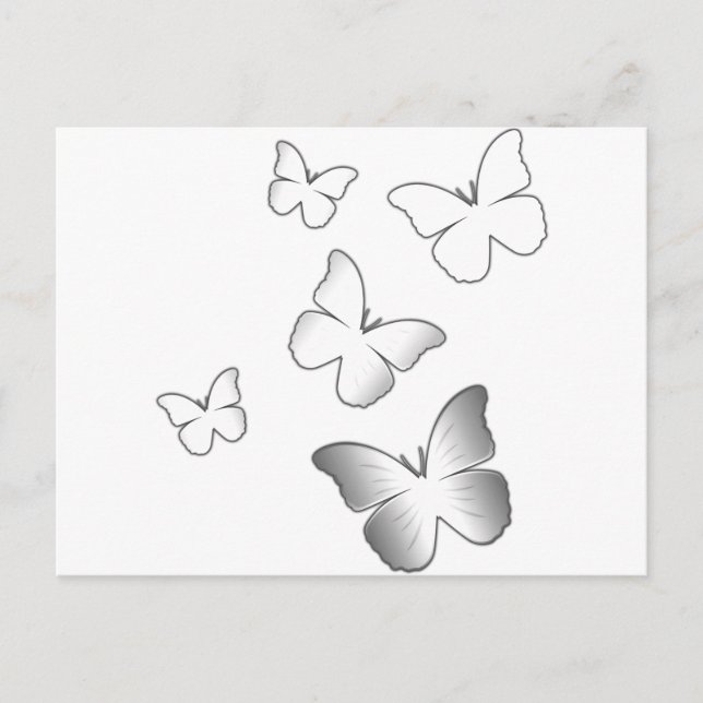 5 White Butterflies Postcard (Front)