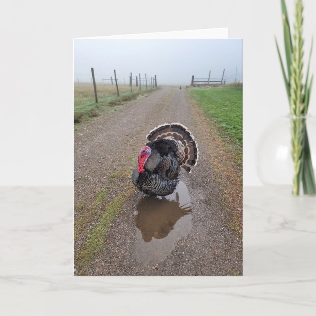 5"x7" Folded Card || Turkey in the Fog (Front)