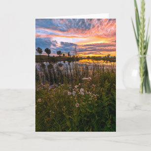 5 x 7 Blank Note Card Set