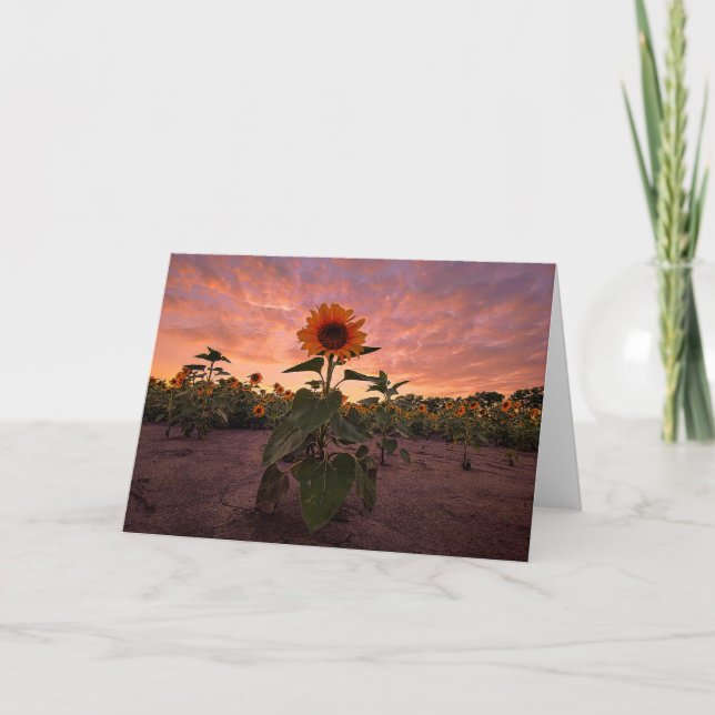 5 x 7 Blank Note Card Set (Front)