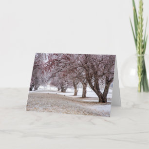 5 x 7 Blank Note Card Set