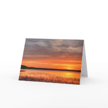 5 x 7 Blank Note Card Set