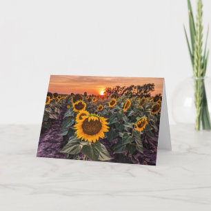 5 x 7 Blank Note Card Set
