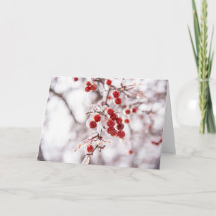 5 x 7 Blank Note Card Set