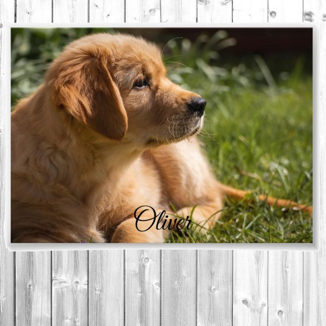 5 x 7 High Definition Personalise Name Photo Print (Creator Uploaded)