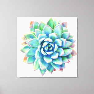 5ft x 5ft extra large succulent canvas print
