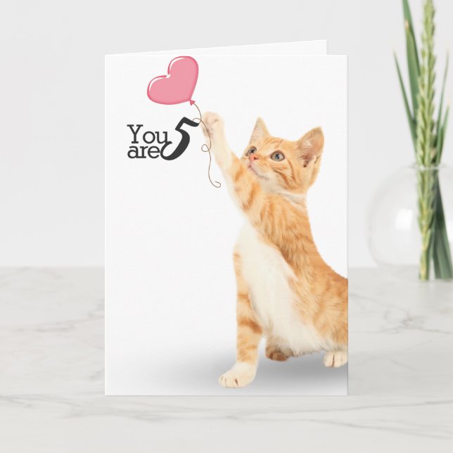 5th birthday tabby cat card (Front)