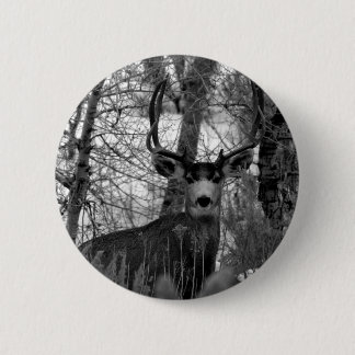 5x5 Mule Deer 6 Cm Round Badge