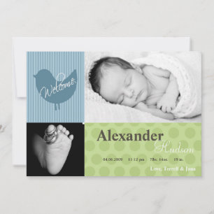 5x7 Baby Boy Blue Bird Photo Birth Announcement