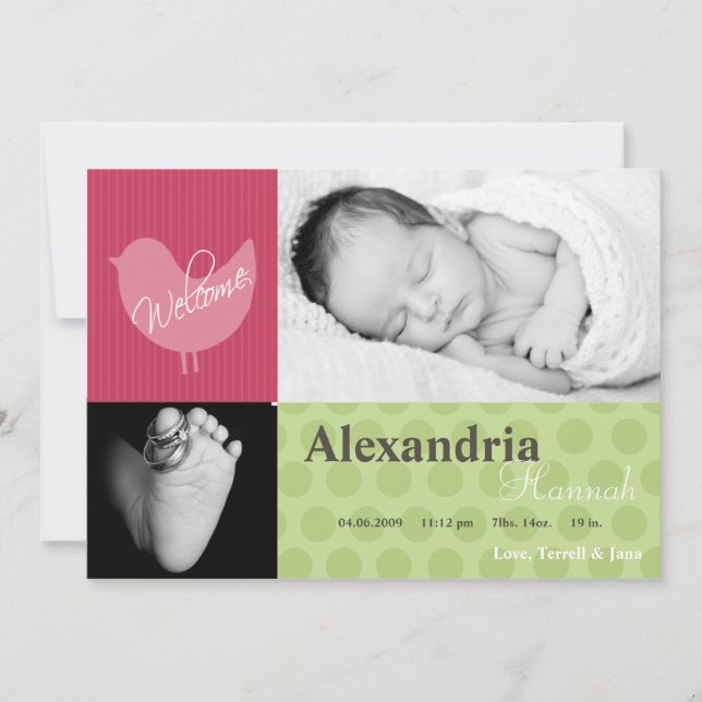 5x7 Baby Girl Pink Bird Photo Birth Announcement (Front)