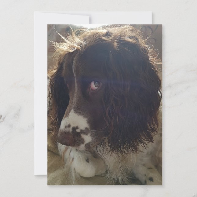 5x7 blank birthday card (Front)