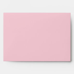 5x7 Envelope Option 1 Birdcage/Pink Stripes cage