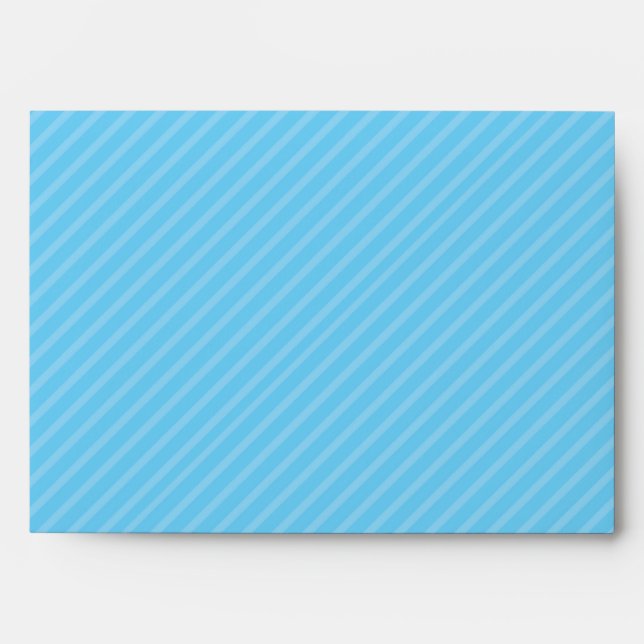 5x7  Envelope Option 2 Birdcage/Blue Stripes cage (Front)