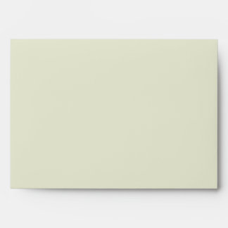 5x7 Envelope Option 3 Green Gerbera Daisy Flowers