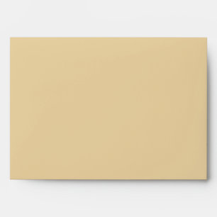 5x7 Envelope Option 3 Seashells on Sandy Beach st