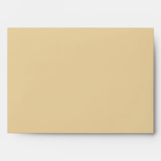 5x7  Envelope Option 3 Seashells on Sandy Beach st