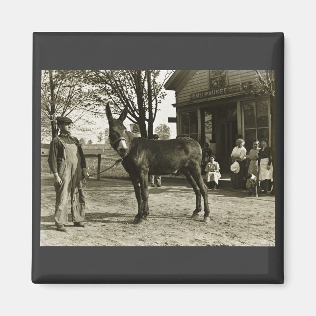 5x7 GLASS NEGATIVE  Milwaukee Mule Magnet (Front)