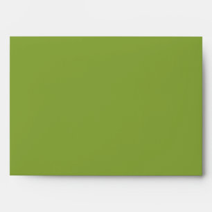 5x7 Green Outside Polk-a-dot Inside Envelope