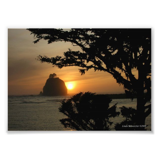 5X7 La Push, Washington Photo Print (Front)