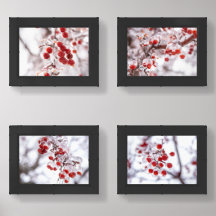 5x7 Print (Set of 4)