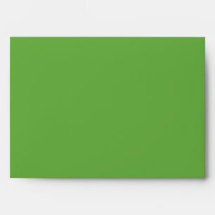 5x7 Sea Turtle Green Outside Blue Inside Envelope