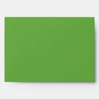 5x7 Sea Turtle Green Outside Blue Inside Envelope