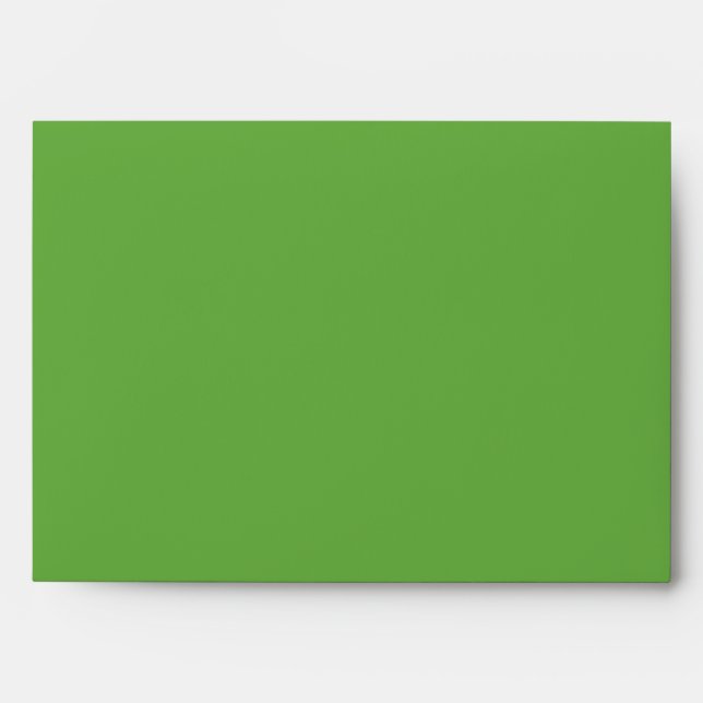 5x7 Sea Turtle Green Outside Blue Inside Envelope (Front)