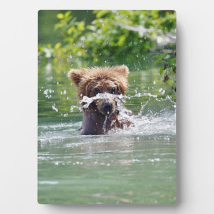5x7 with Easel of grizzly bear cub Plaque
