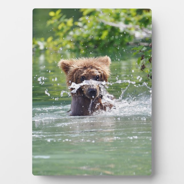 5x7 with Easel of grizzly bear cub Plaque (Front)