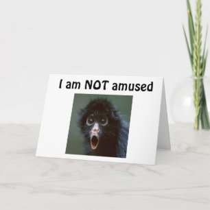 **60?** YOU DON'T LOOK A DAY OVER 59??? BIRTHDAY CARD