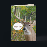 60th birthday buck in woods card<br><div class="desc">Big buck in forest with speech bubble for 60th birthday.</div>
