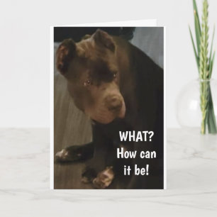 *60th BIRTHDAY* FROM THIS CANE CORSO Card