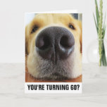 60TH BIRTHDAY FUNNY DOG GREETING CARDS<br><div class="desc">YOU'RE TURNING 60? THAT'S RUFF. HAPPY BIRTHDAY ANYWAY!</div>