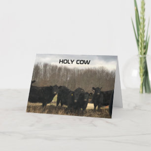 **60th** BIRTHDAY "HOLY COW" Card