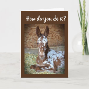 **60th BIRTHDAY** HUMOR FROM A CUTE COLT! Card