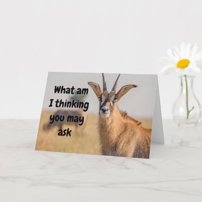 "60th BIRTHDAY HUMOR VIA ANTELOPE Card (Small Plant)