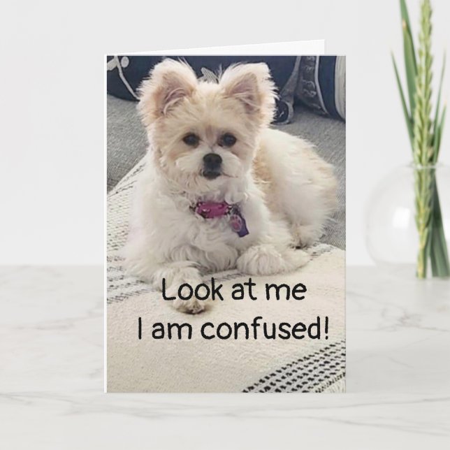 **60th BIRTHDAY** SO VERY CONFUSED! Card (Front)