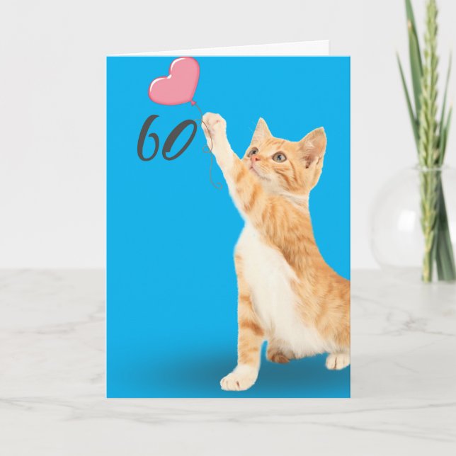 60th birthday tabby cat card (Front)